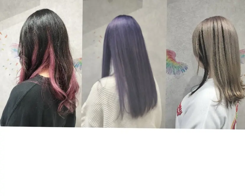 🦎白井  護🐍の掲載