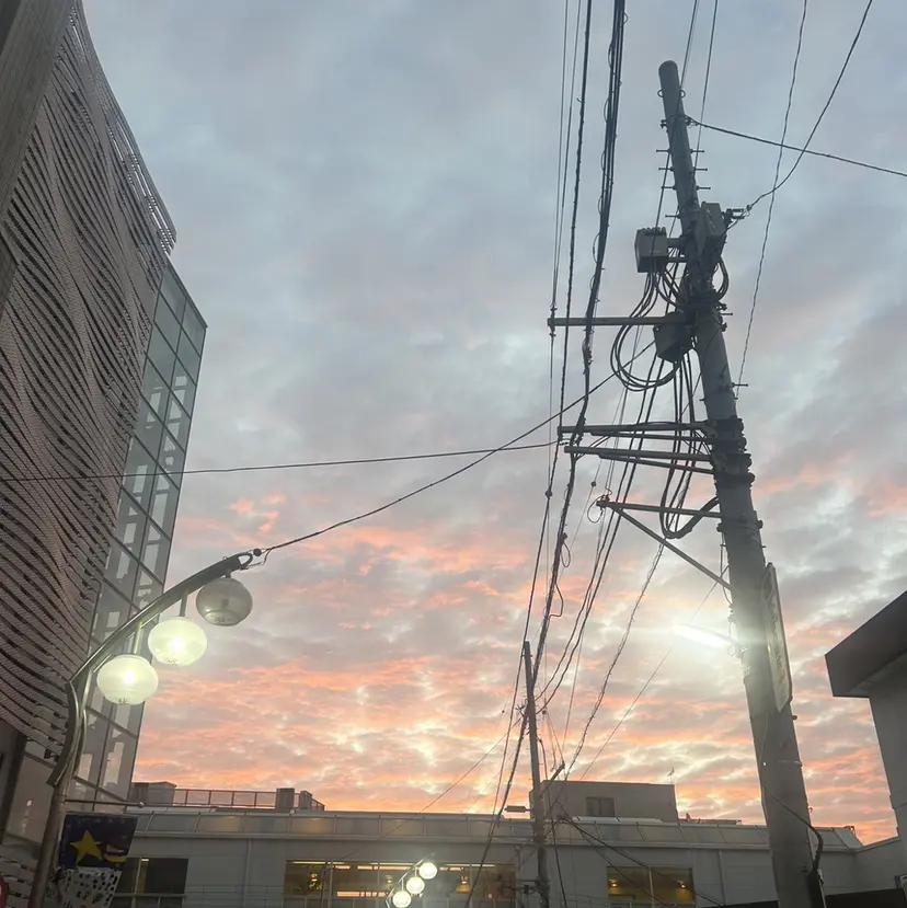 NORA saya🍀の掲載