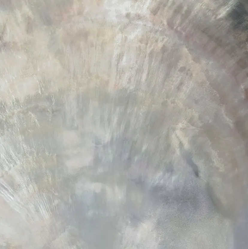 Fuka 🌼*.ﾟの掲載