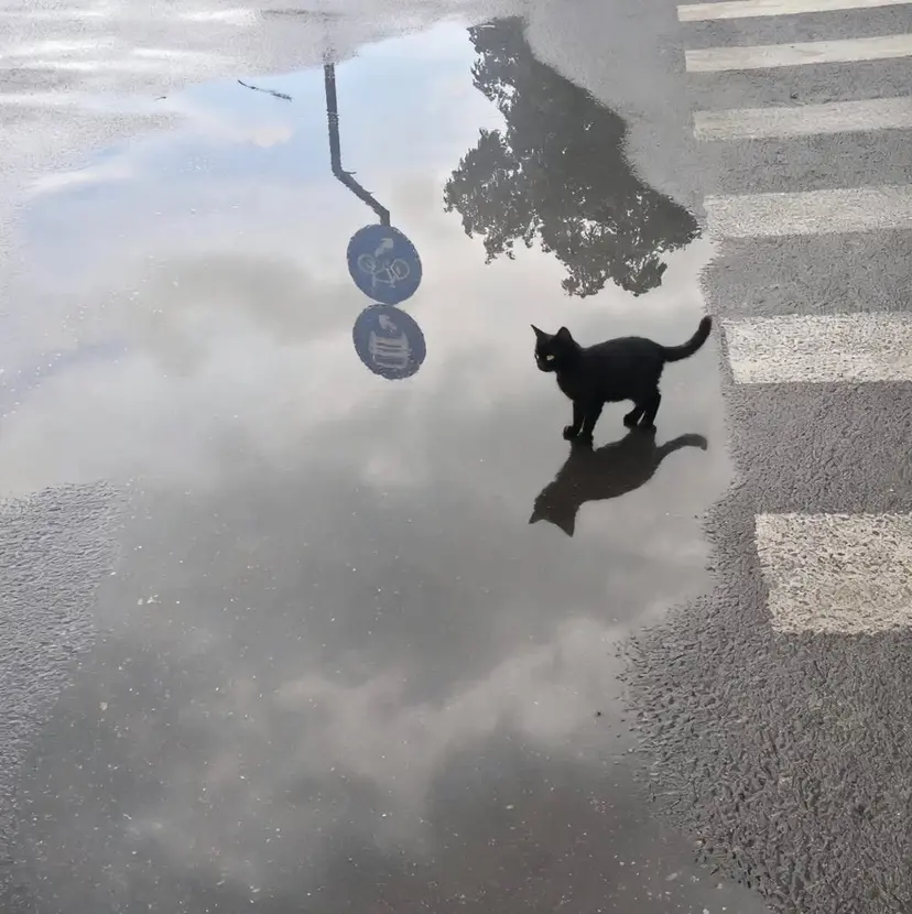 高橋 タカハシの掲載