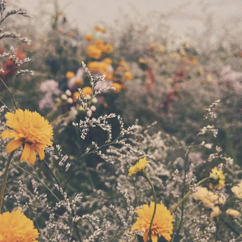 大阪美容師/ スパニスト/東本真菜の掲載