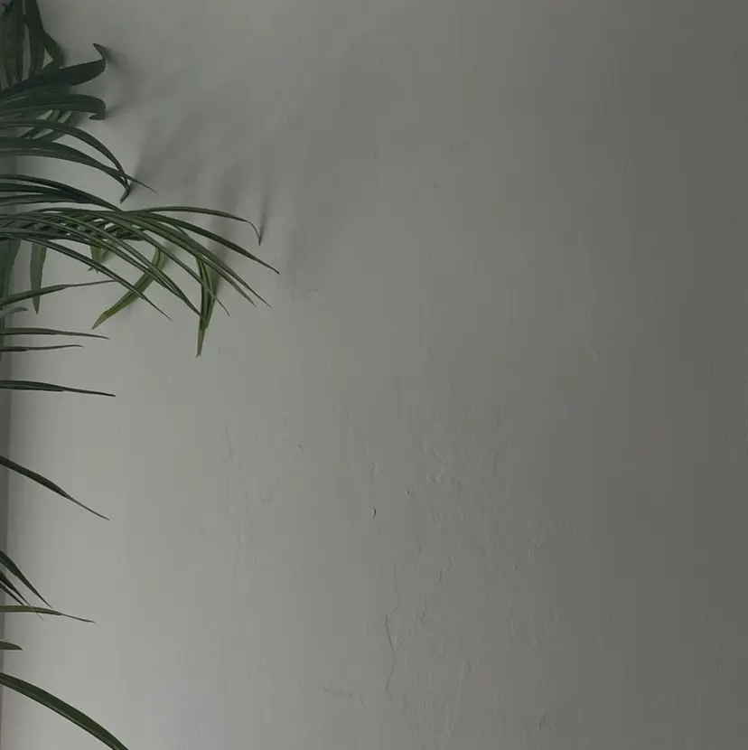 【ALEAP】 coconaの掲載