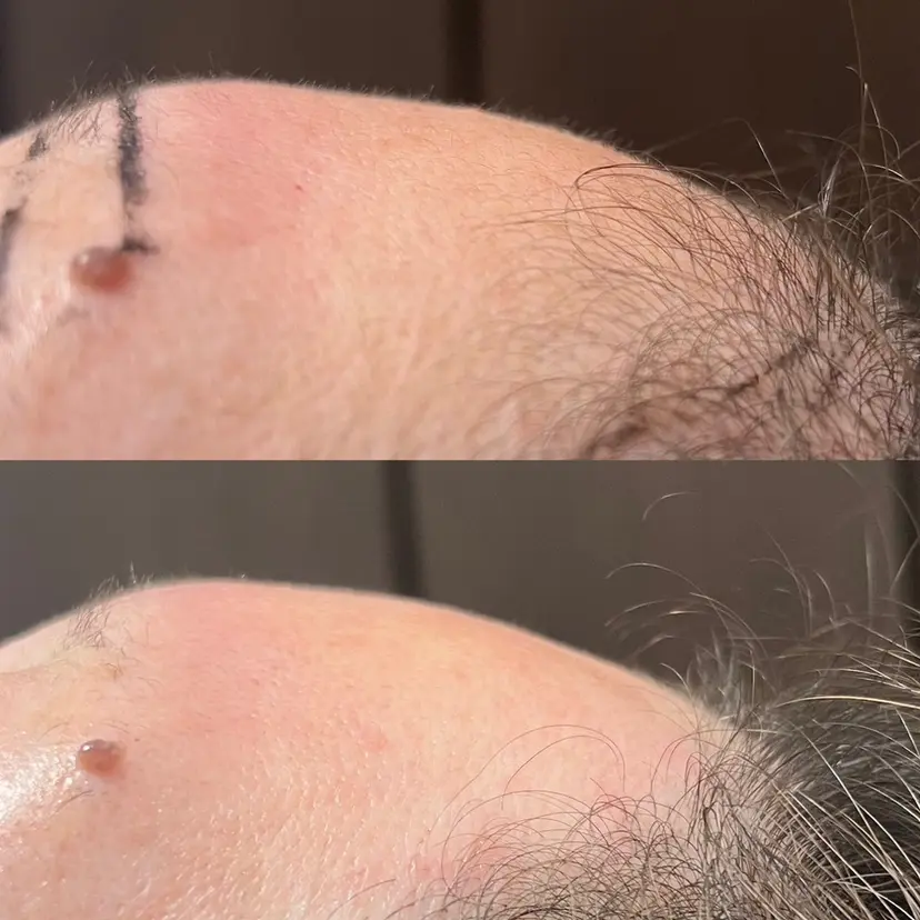 加藤 友理の掲載