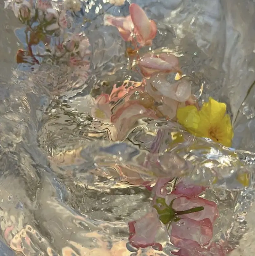 透明感style 🌿 ASUKAの掲載