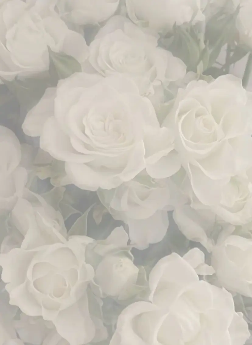 eyelashZen RINGO︎🤍の掲載