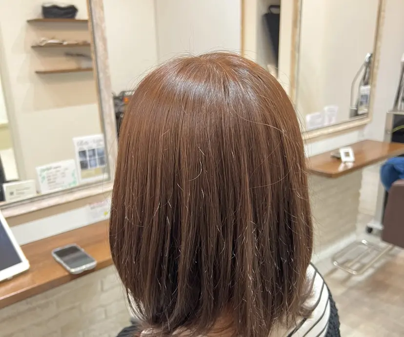 白田 妃美希の掲載
