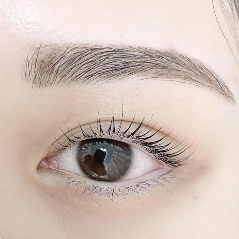 Loel jr.eyelistの掲載