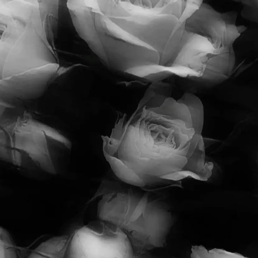 艶髪/韓国カラー 🇰🇷/ことねの掲載