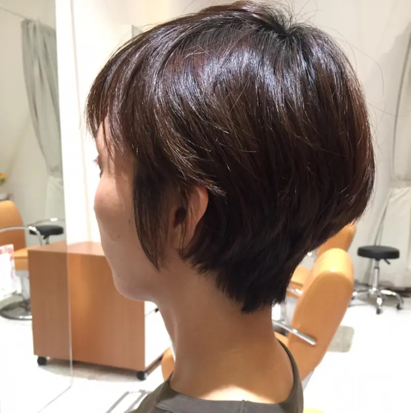 平賀 暁子の掲載