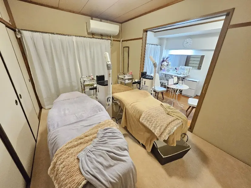 若園 麻理子の掲載