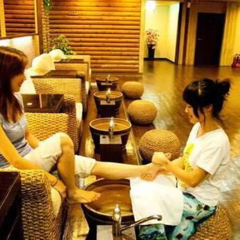 サクラ 　の掲載