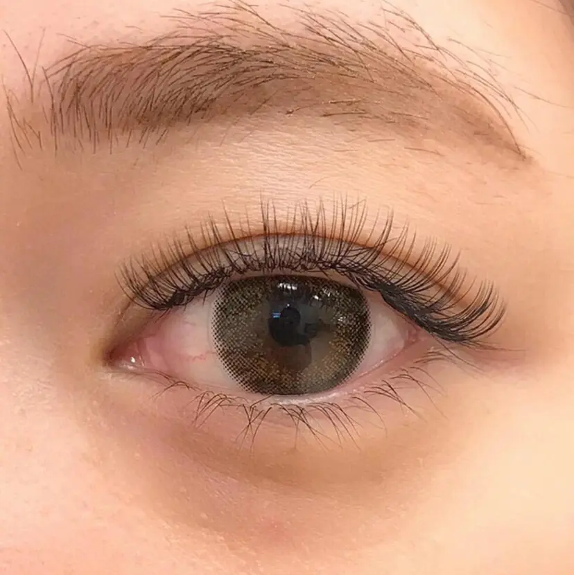 安田 夏美の掲載