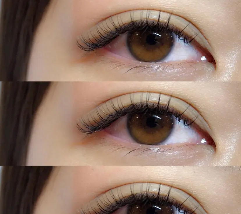 福田 美咲の掲載