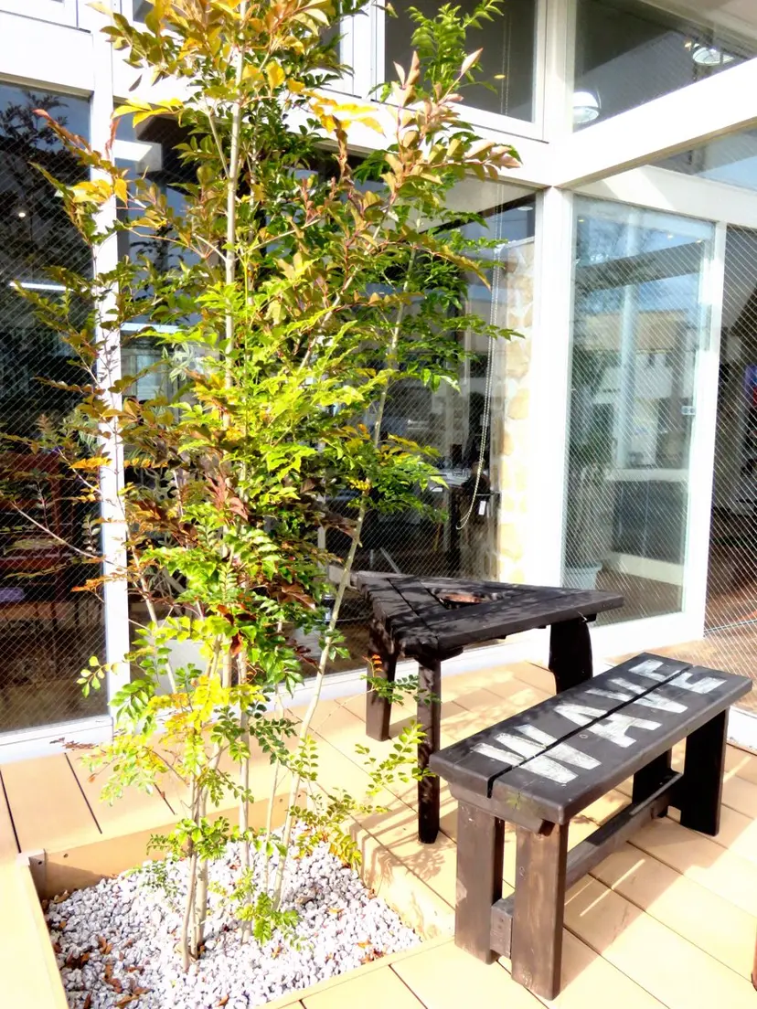 🏝️ウェーヴ佐藤店 🏝️大塚千鶴の掲載