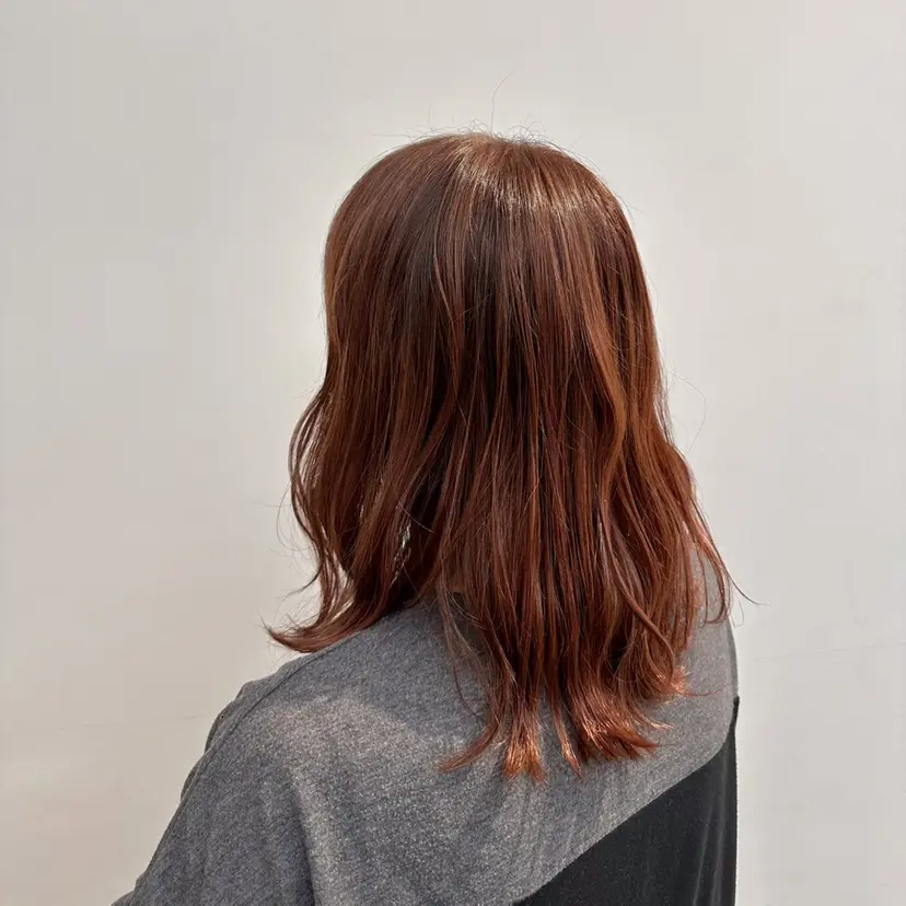 沼田 百可の掲載