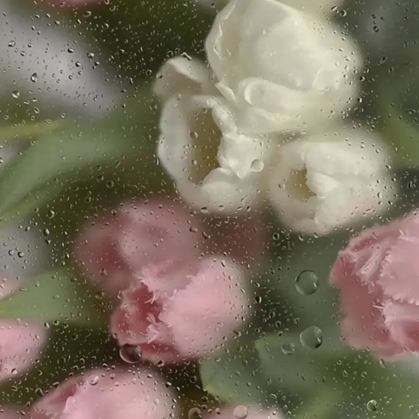 chai 上本町 sakuraの掲載