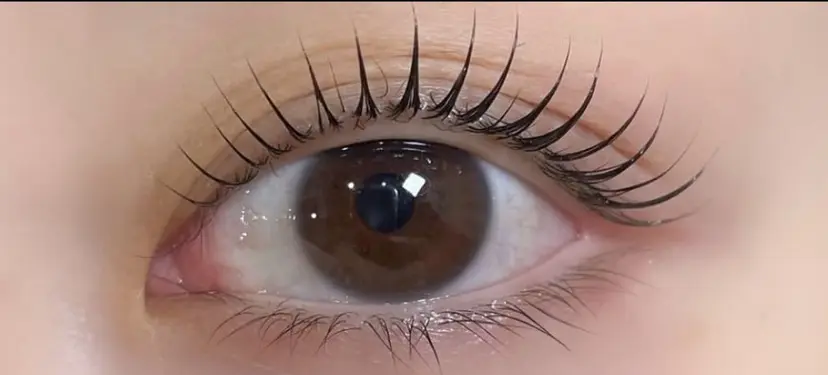 Beautyeyel ash京都中央口店の掲載