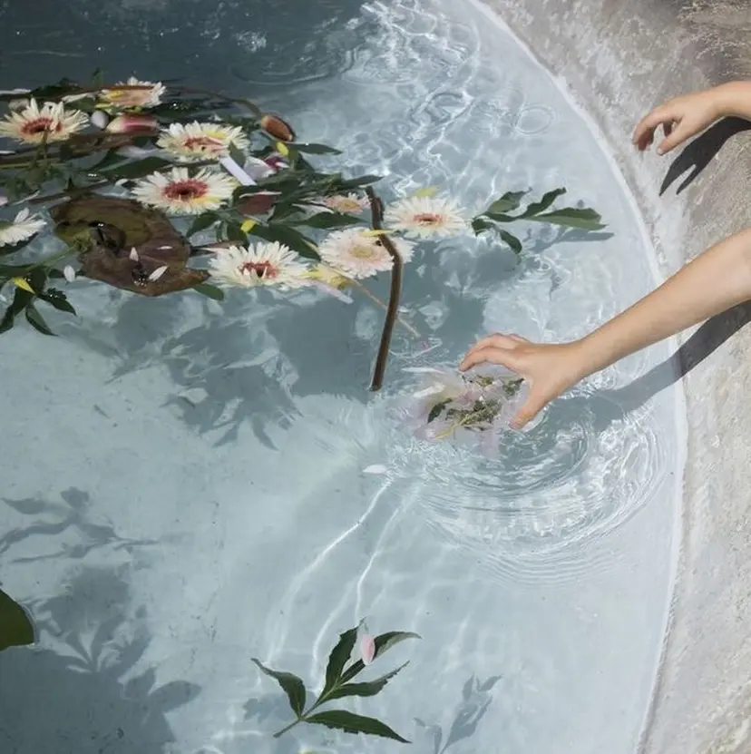 中村 みほの掲載