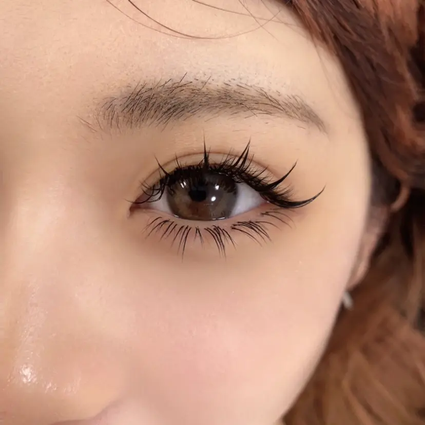 max salonの掲載