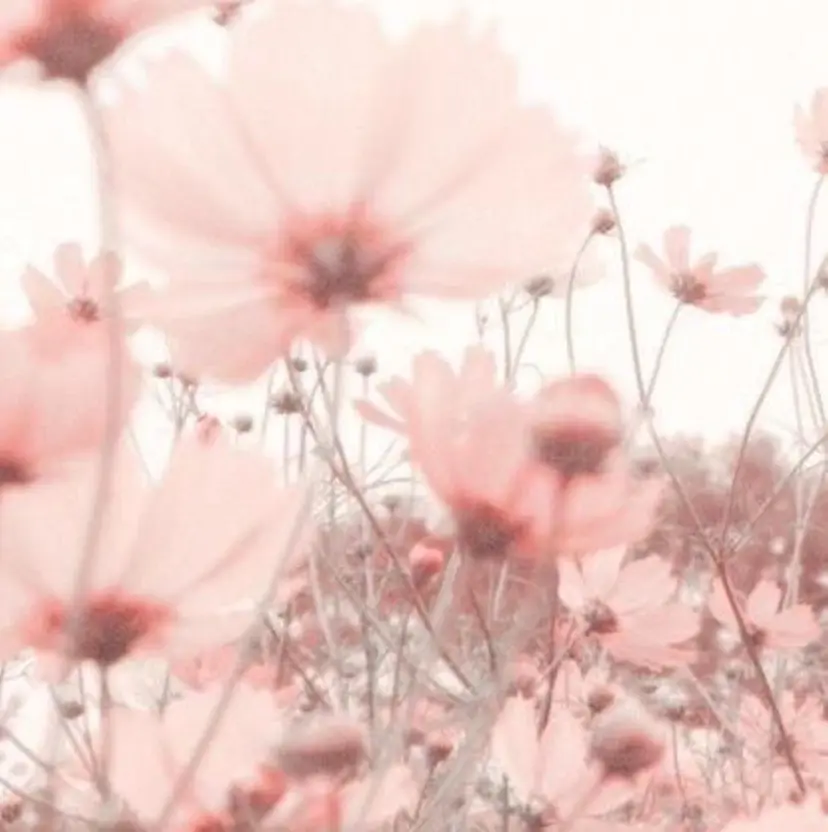 韓国風特化🕊️ CHINA🕊️の掲載