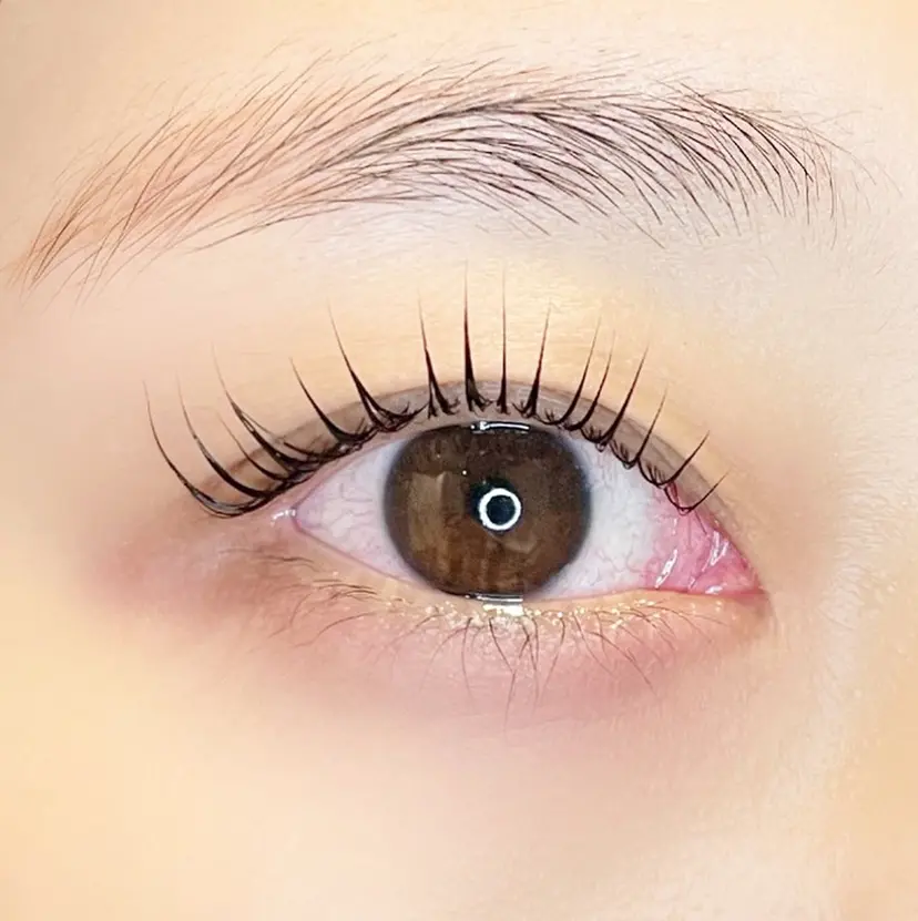 noa shizukaの掲載