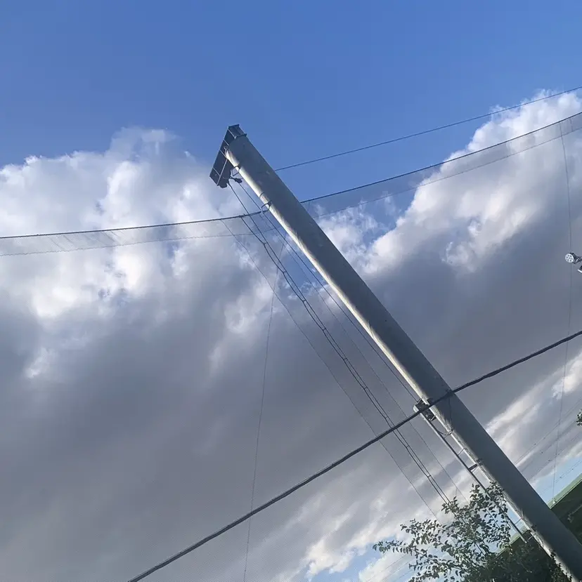 中井 葵👀の掲載