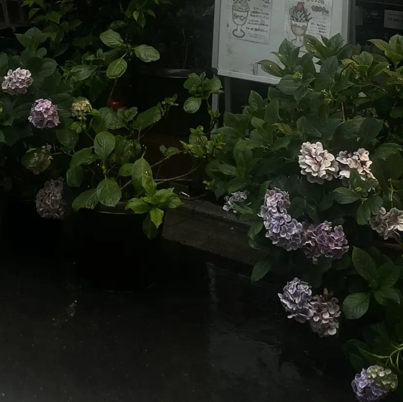 南 Q-LASH池袋の掲載