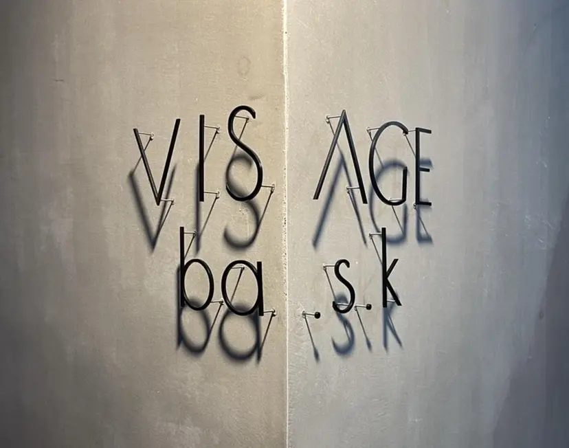 VISAGE ba.sk 金子詩帆の掲載