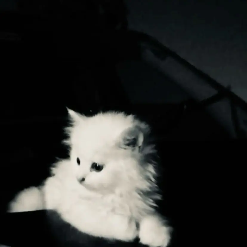 ððððð ð«§tsukasaã®æ²èŒ