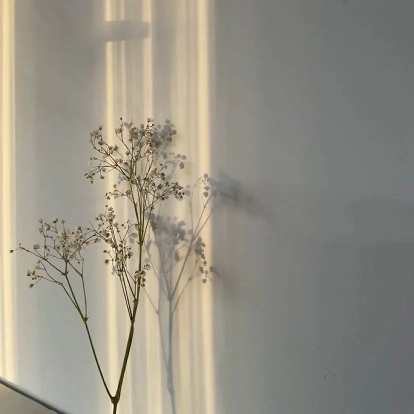 0円カラーモデル🚺 ／坂本詩穂🌟彡の掲載