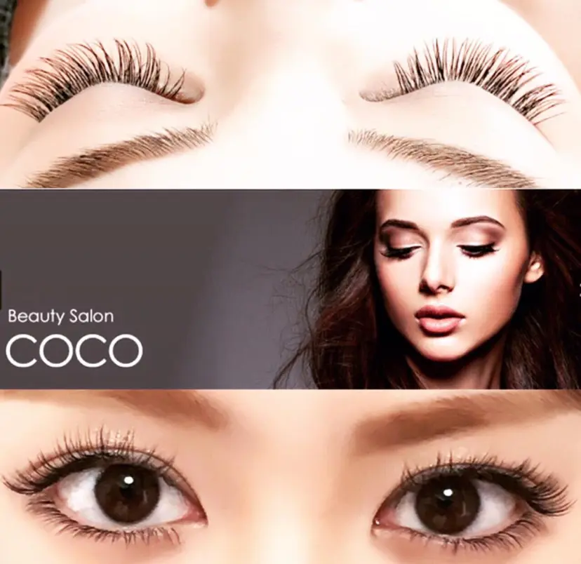 中安 晶鵬の掲載