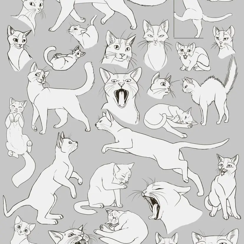 EIGHT 野々市 イトウミサキの掲載