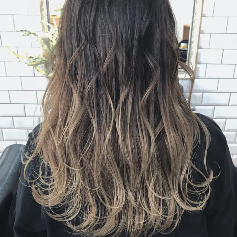 橋本 敬介の掲載