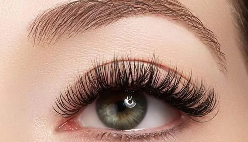 佐藤 ゆみの掲載