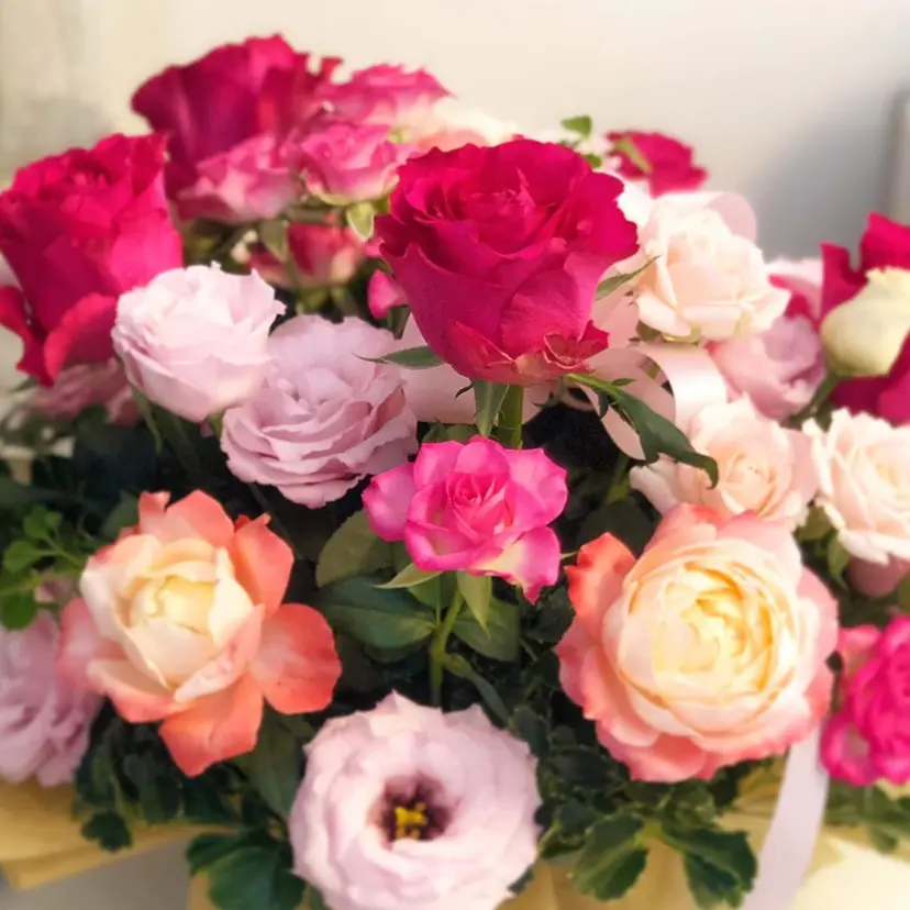 M♡ Norikoの掲載