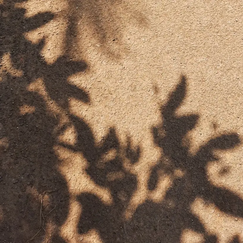 海外風/暖色🧡 /Unaの掲載