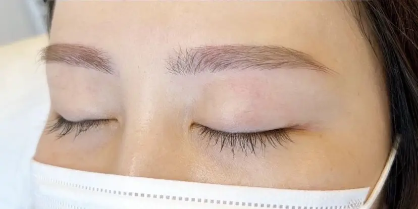 竹地 実生の掲載