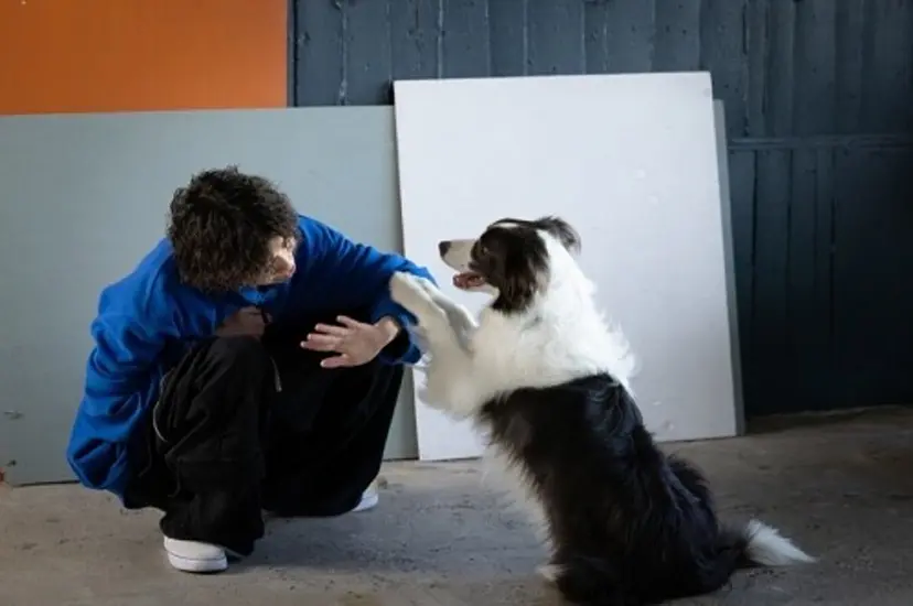 メンズヘア静岡 ✂︎Ryuheiの掲載