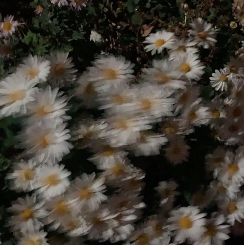 RIRU 草津の掲載