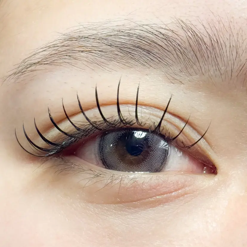 向井 萌華の掲載