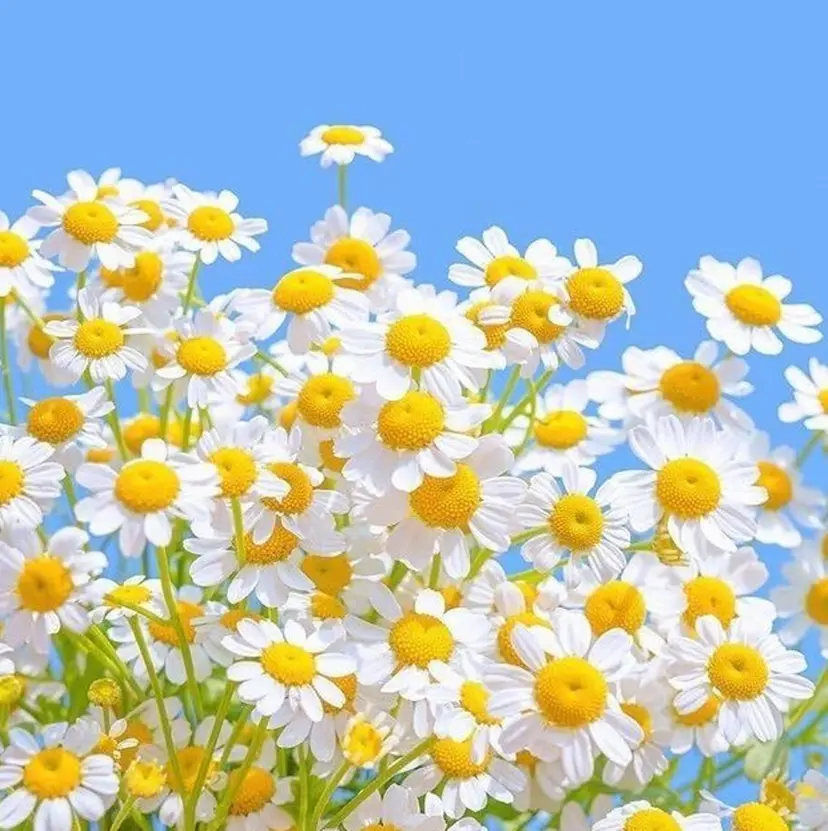 やました りなの掲載