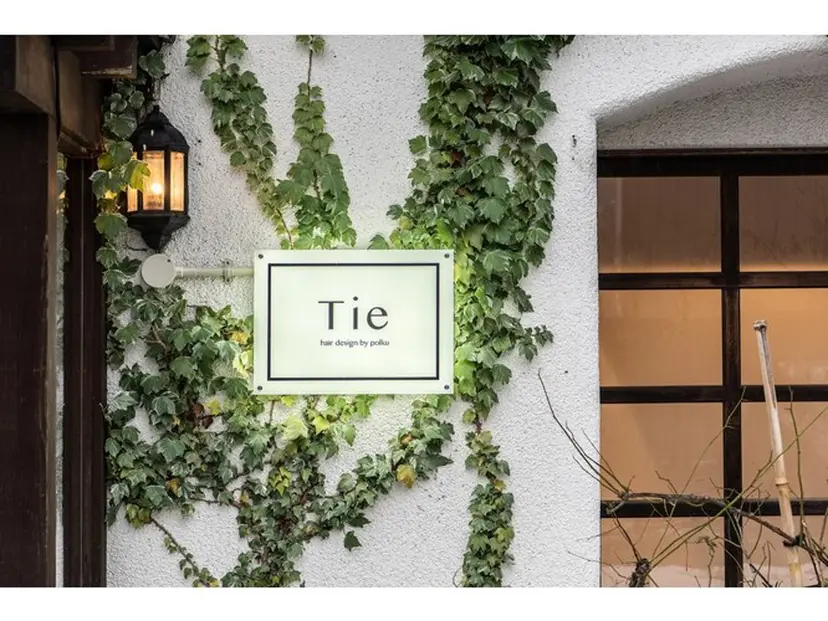 木元 恵実の掲載