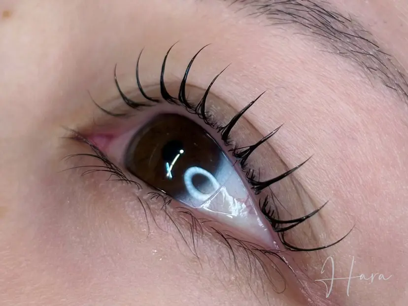 Eyelist ハラ 束感まつげ🪄⟡.·の掲載