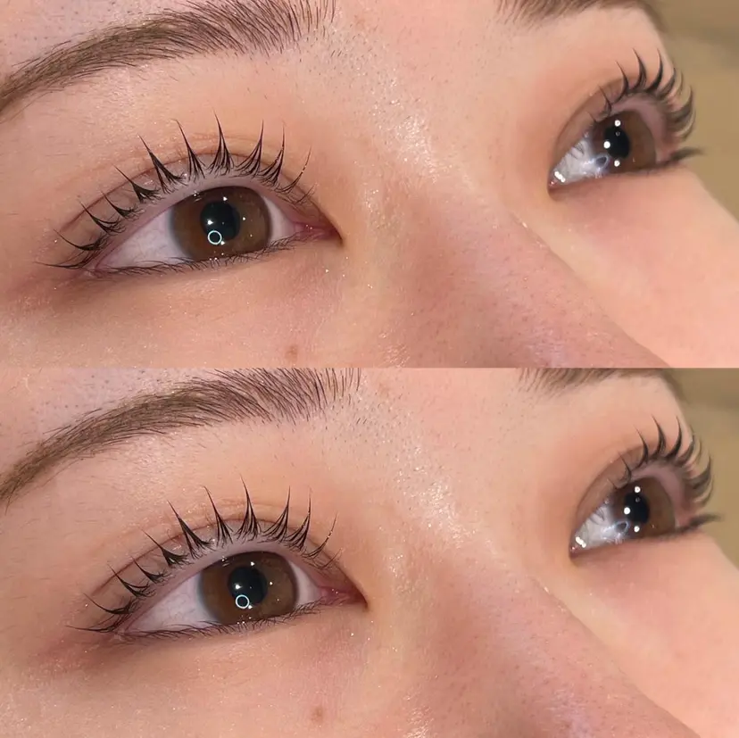 lit.❤︎ ANNAの掲載