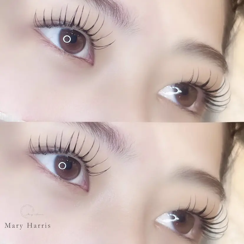 enchanted 七隈/MAKOTOの掲載