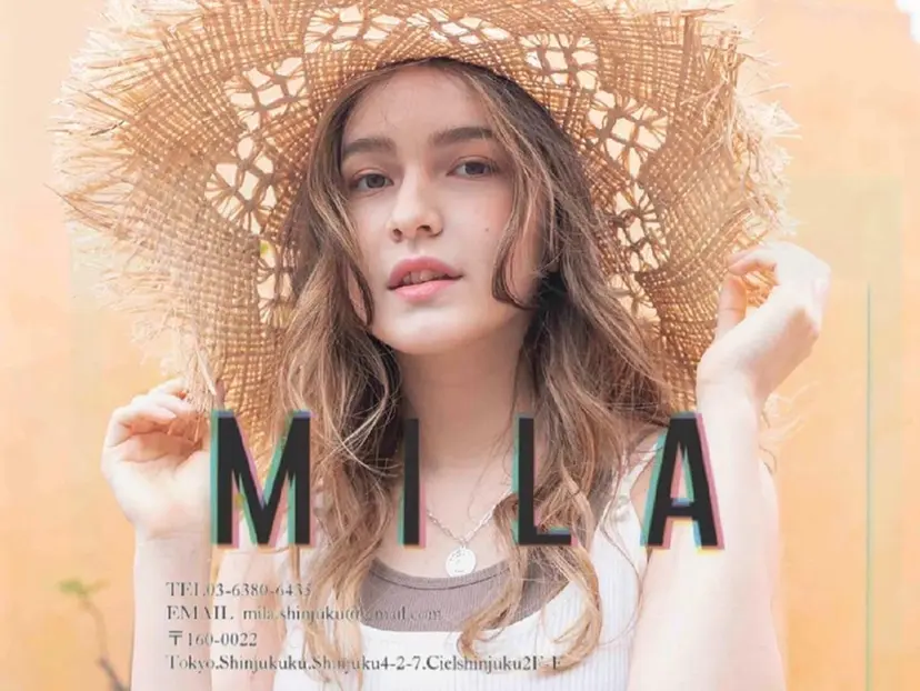 オリーブ、カーキ系 No.1シラトリの掲載