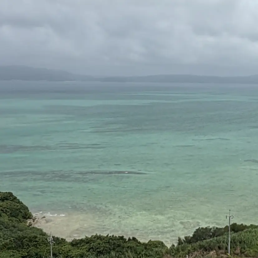 松村 春花🌷の掲載