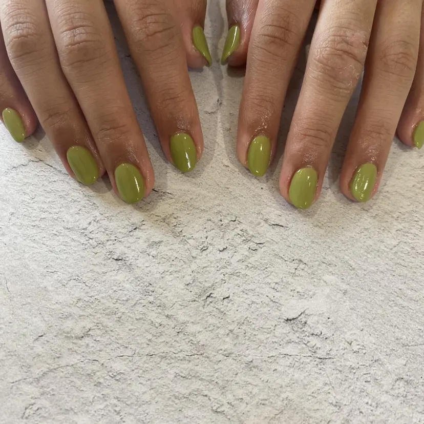 椎葉 麻里矢の掲載