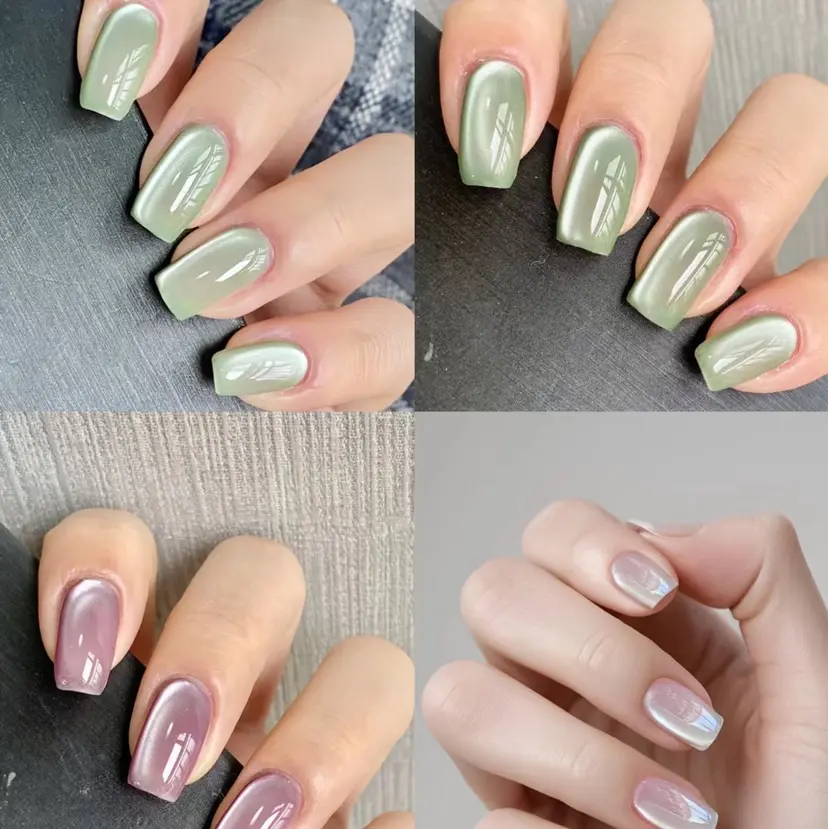 三田 サクラの掲載