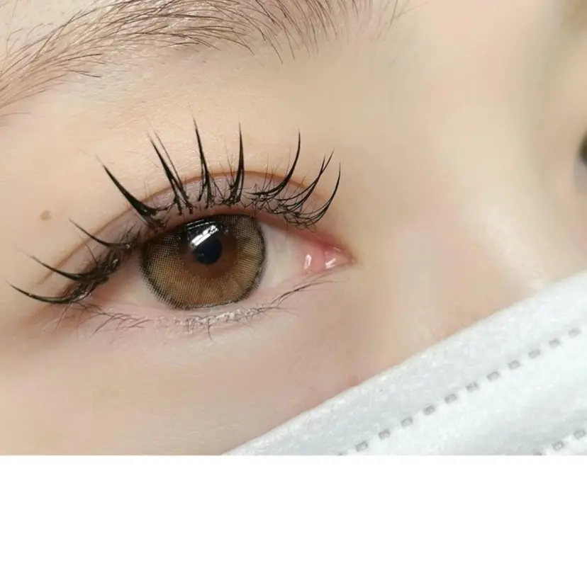 yashiro manamiの掲載